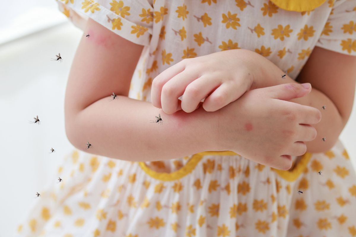 Chikungunya Virus