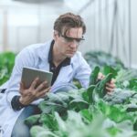 How Is Biotechnology Used in Agriculture