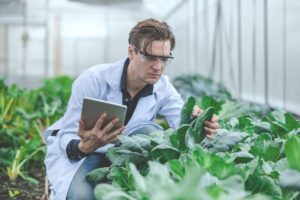 How Is Biotechnology Used in Agriculture